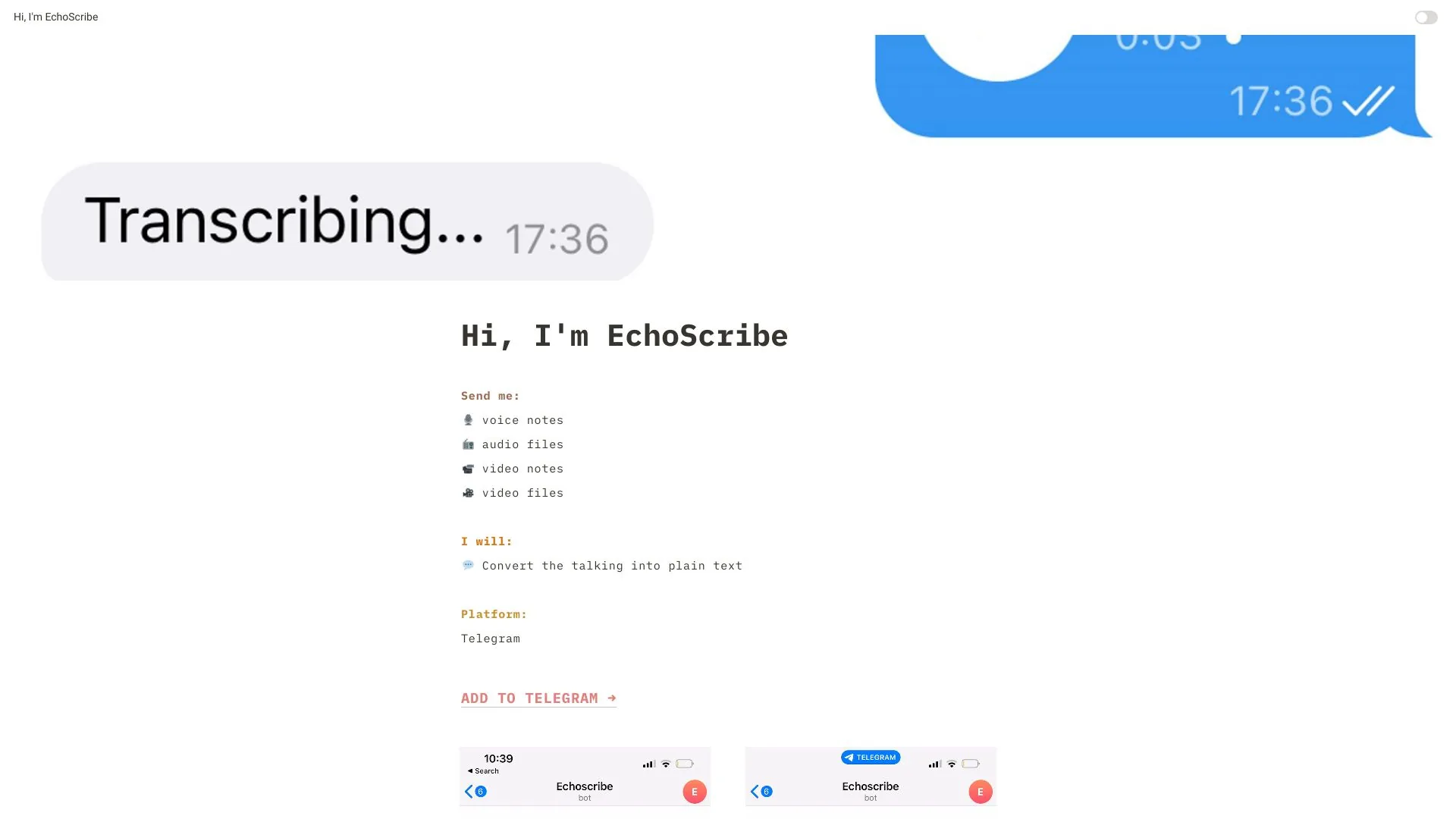 EchoScribe screenshot