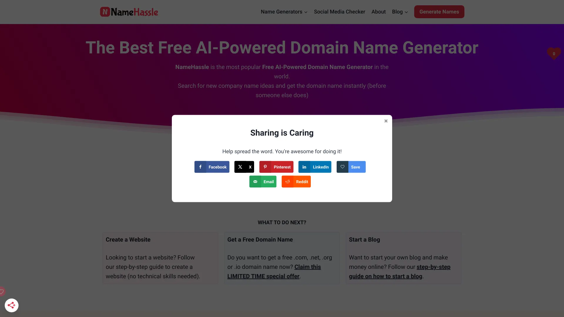 NameHassle screenshot