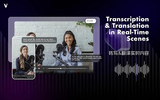 ViiTor Real-time Translation Plugin screenshot