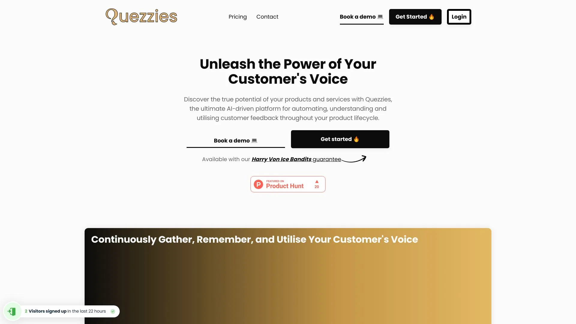 Quezzies - AI 动力的客户反馈和参与解决方案 screenshot