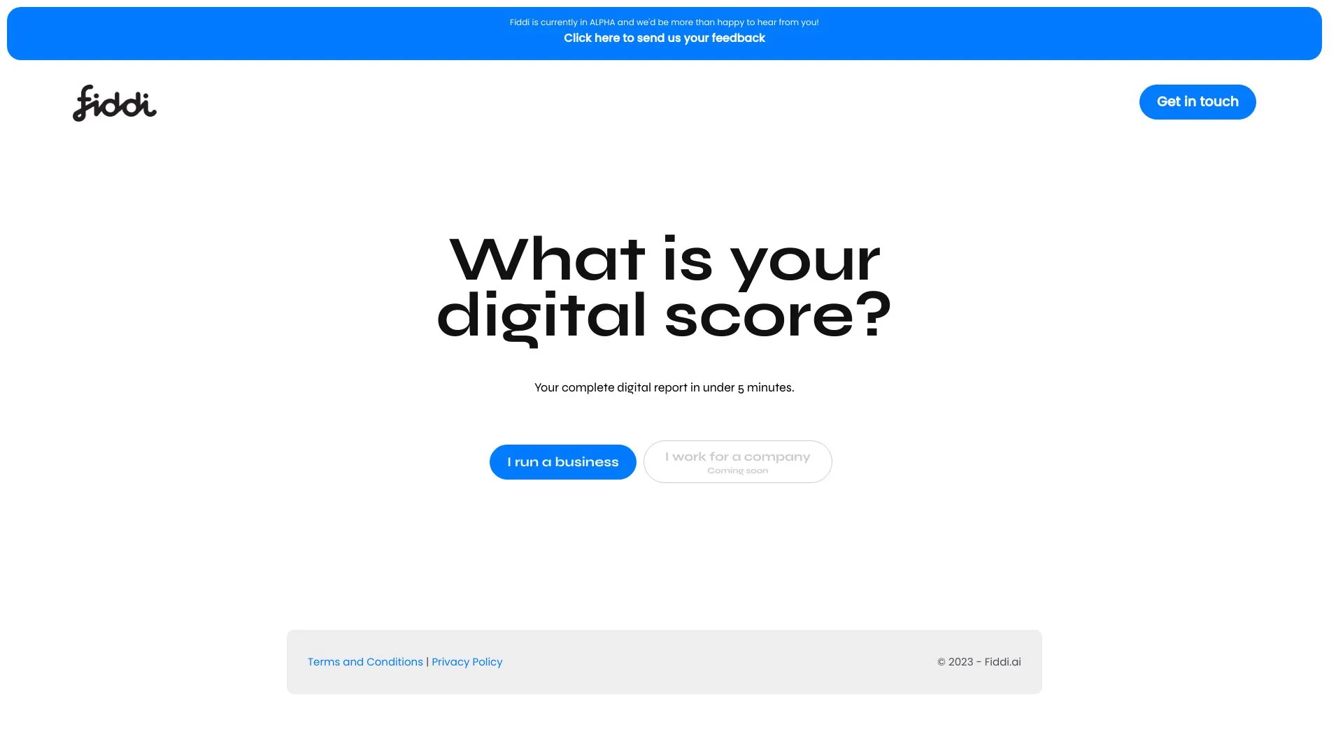 Fiddi.ai screenshot